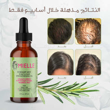 Load image into Gallery viewer, Mielle Rosemary Mint Hair Care Set ( Shampoo With Masque and Oil )