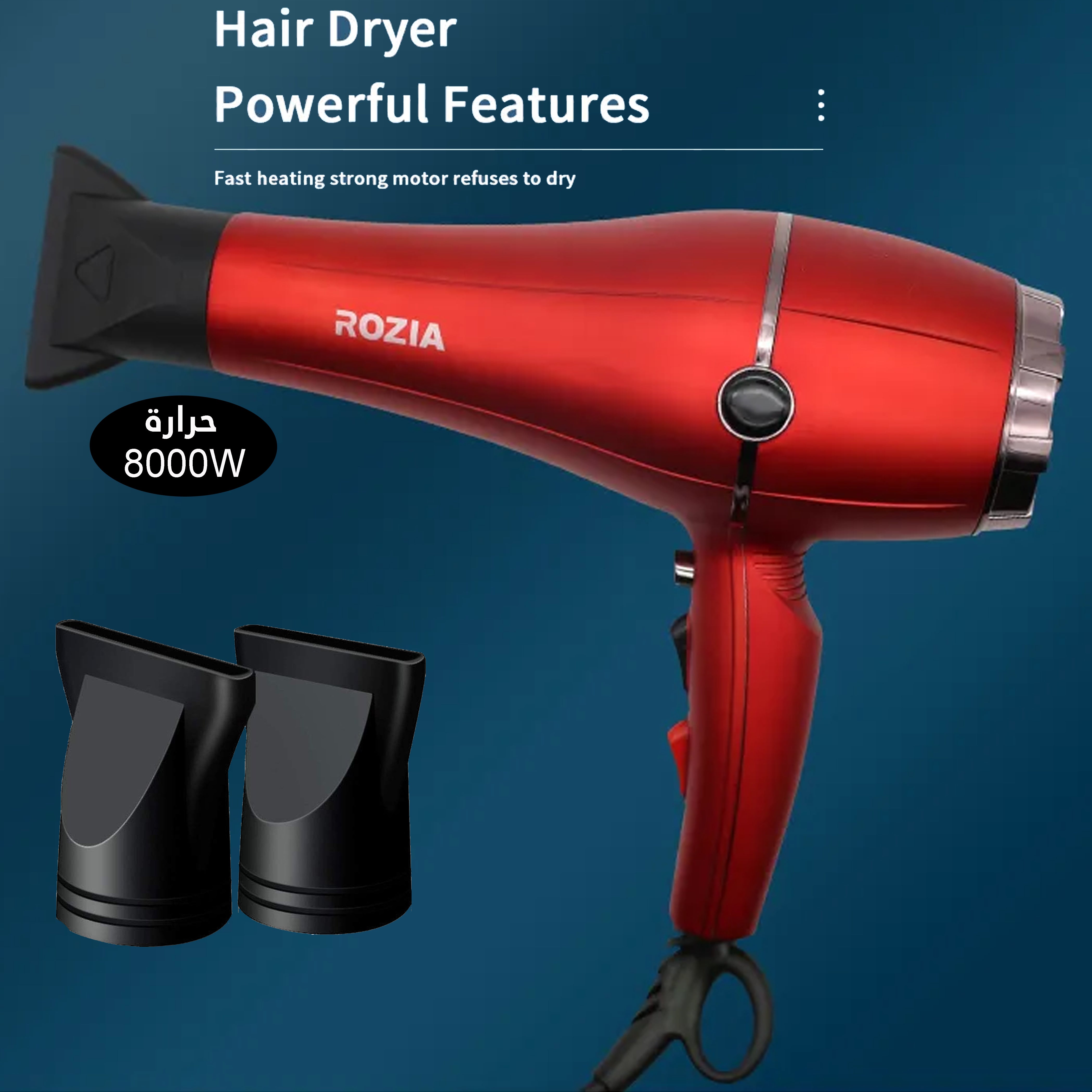 Rozia Professional Hair Dryer 8000W